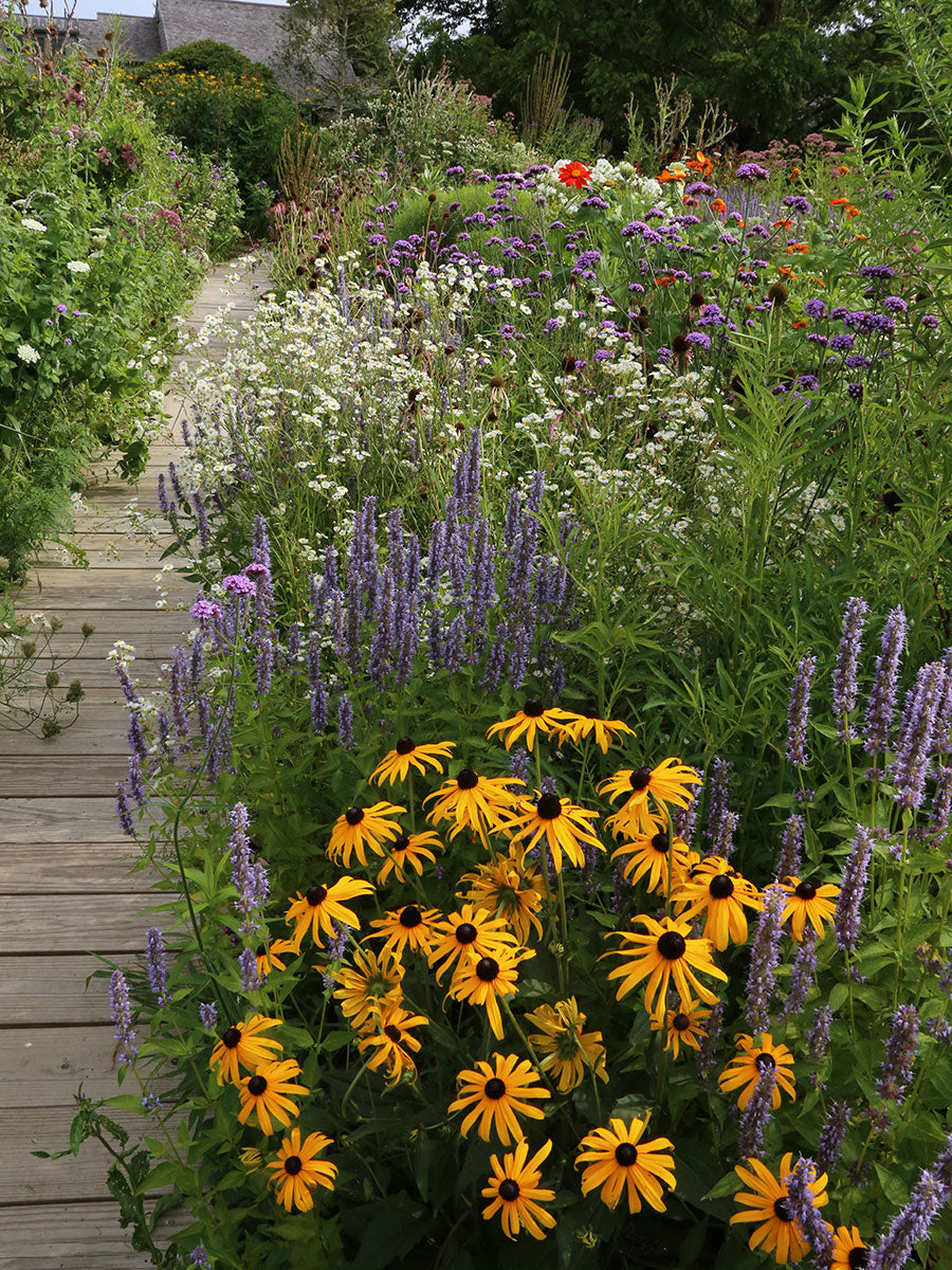 Gardening for Wildlife and Landscaping Services