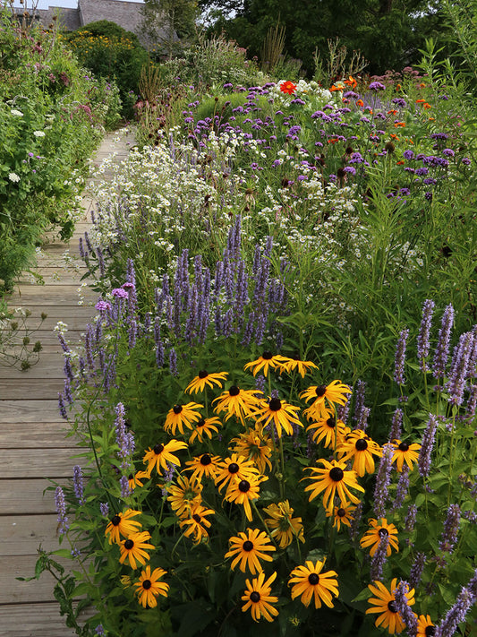 Gardening for Wildlife and Landscaping Services