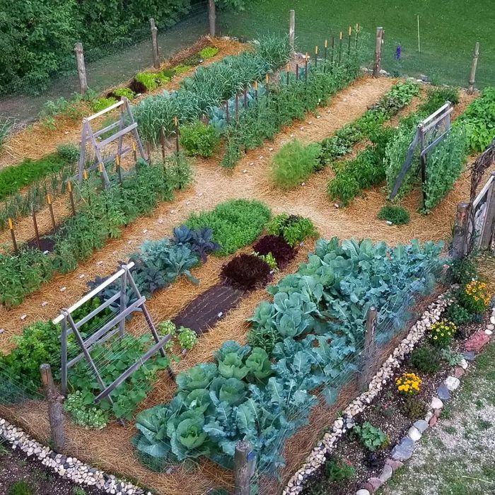 Gardening for Wildlife and Landscaping Services