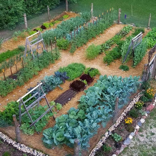 Gardening for Wildlife and Landscaping Services