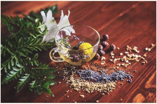 Wellness in Bloom Concierge Services