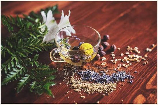 Wellness in Bloom Concierge Services