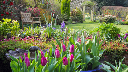 Gardening for Wildlife Consultation